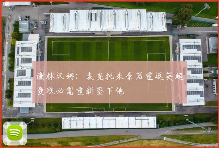 谢林汉姆：麦克托米奈若重返英超曼联必需重新签下他
