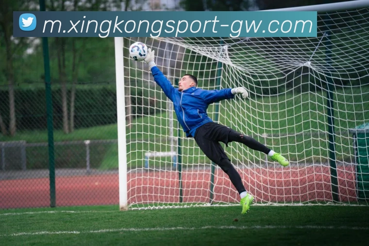 App Interface Preview