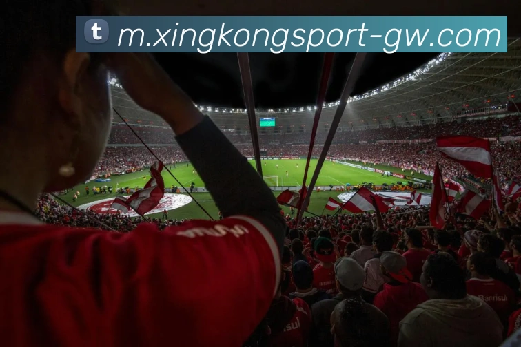 星空体育APP 封面图